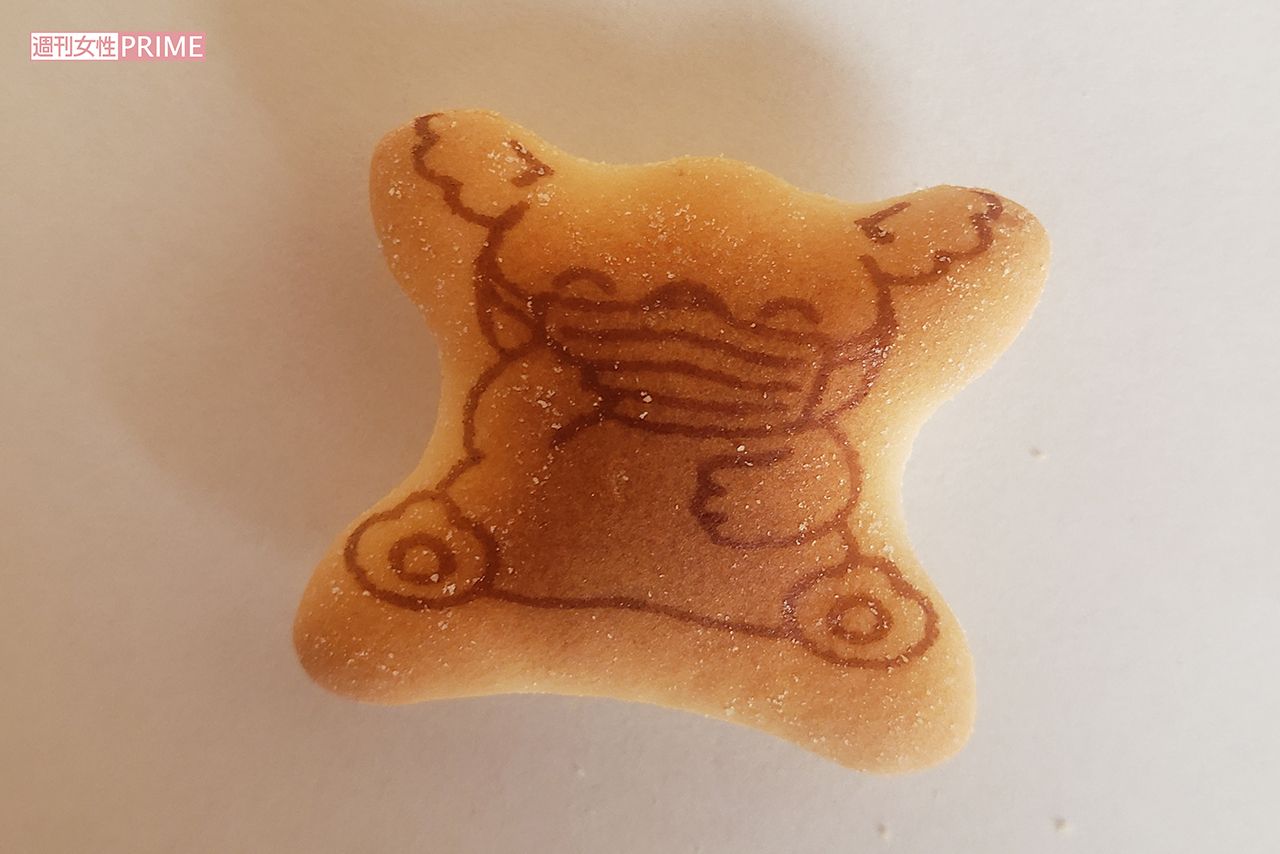 4箱目でやっと発見！「マスクコアラ」