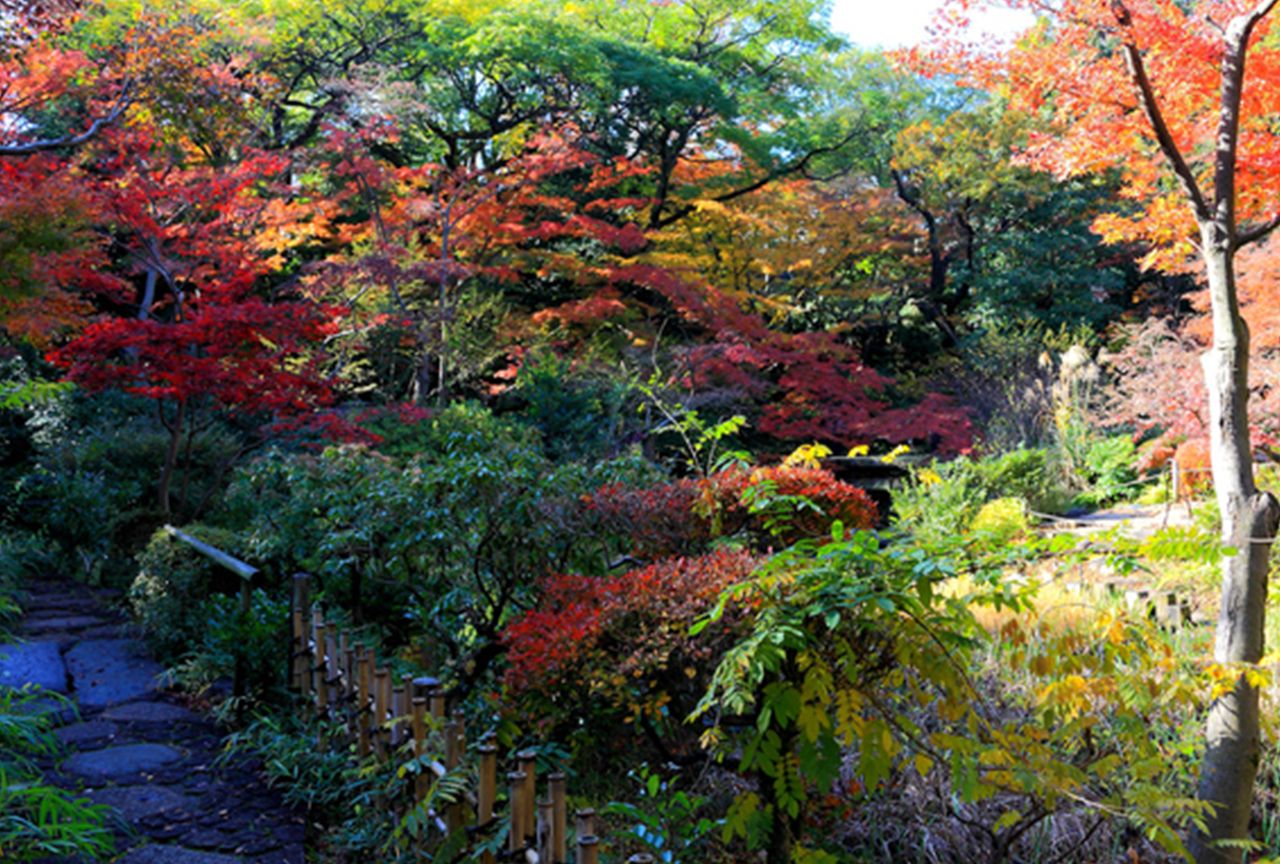 根津美術館の庭園は、秋になると色づき多くの人出が