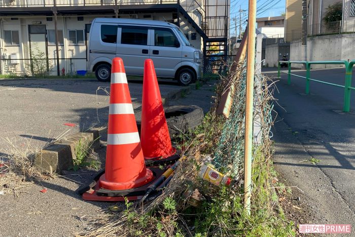 別の駐車場でもジャガーの目撃証言があった