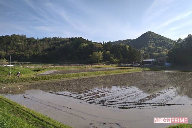 《京都小6男児遺体遺棄事件》安達結希さん自宅周辺、カエルの鳴き声が聞こえるのどかな集落