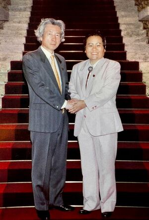 小泉チルドレンの自民党議員として政界に進出