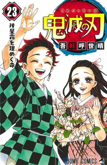迫力ある戦闘シーンや個性的なキャラクターは実写化不可能といわれている（『鬼滅の刃』第23巻楽天ブックスHPより）