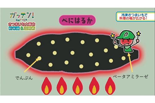 “ねっとり”の秘密を解剖！　さつまいもは加熱すると「ベータアミラーゼ」という酵素が発生。その酵素はでんぷんを糖に分解する働きがあり、焼きいもを甘くしてくれる。ねっとりタイプはその活性が高いのが特長。ホクホクタイプよりも多くのでんぷんを糖に分解するので、とても甘く仕上がる。