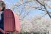 入学式には桜の花のトンネルを抜けて─という光景も見られなくなるのかも……