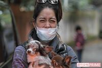 森泉、愛犬の死が出会いのきっかけとなった住職夫との「住まい」と「入信」