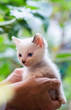 ※画像はイメージです