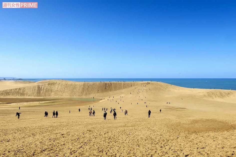 鳥取砂丘はラクダに実際に乗れるなど大人気の観光地