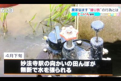 理想の構図で写真を撮ろうと田んぼに勝手に水を張る暴挙も（新潟放送・ゆうなびより）