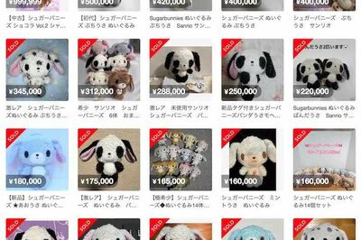 サンリオ『シュガーバニーズ』ぬいぐるみがメルカリで50万円高額取引「バグってる」価格高騰で転売ヤー出現…