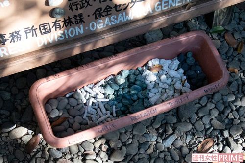 石やサンゴを容器にいれて来訪者数をカウントするなど自然に親しむ仕組みも考案