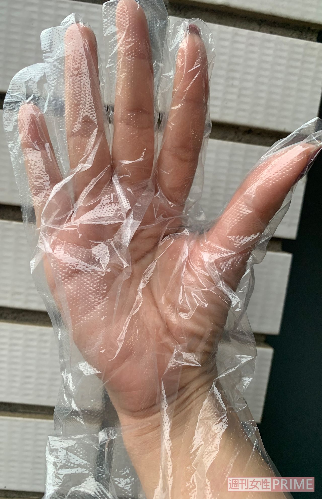 手袋、雑菌が入らないようにキャベツをもむときは調理用手袋をして