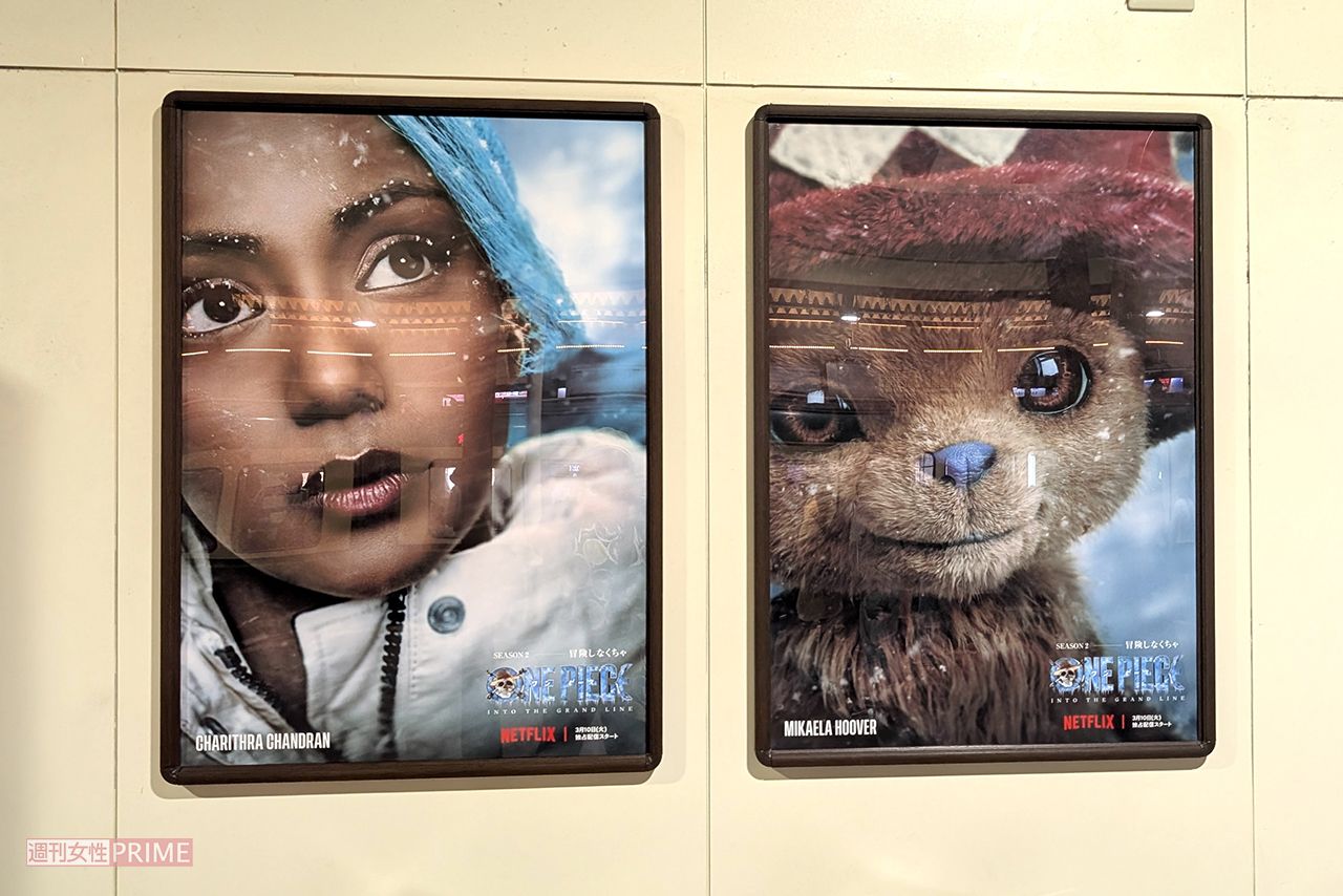 「Netflix ワンピース 江ノ電号」が運行している江ノ電沿線には広告が展示されている　撮影／編集部