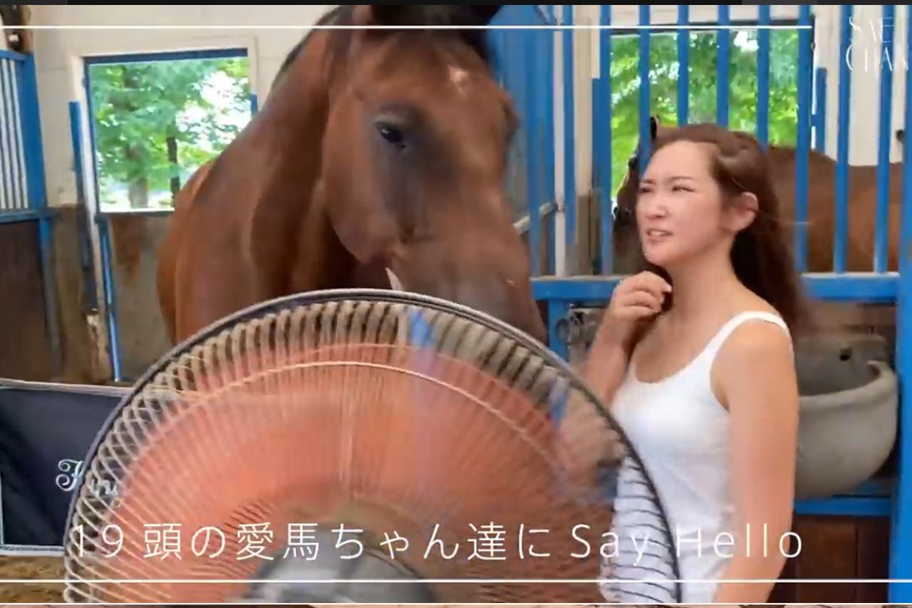 経営する牧場で作業をする紗栄子（YouTubeより）