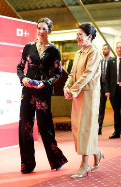 外国語も堪能な雅子さまは、昨年10月に来日したデンマークのメアリー皇太子妃と談笑された