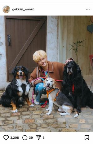A.B.C-Z塚田僚一、体調不良から復帰後に筋肉キャラから愛犬家に“キャラ