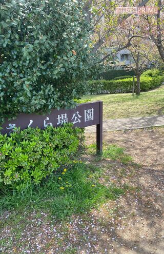 お花見が行われていた「さくら堤公園」