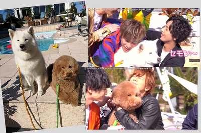 キスマイの『HUG&WALK』撮影時には、2匹に夢中だったメンバーたち