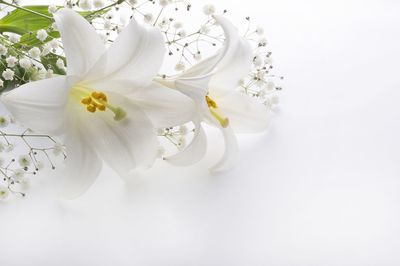 在宅看取り医が看取った「素直に死を受け入れて、安らかな気持ちで往く」女性のお話