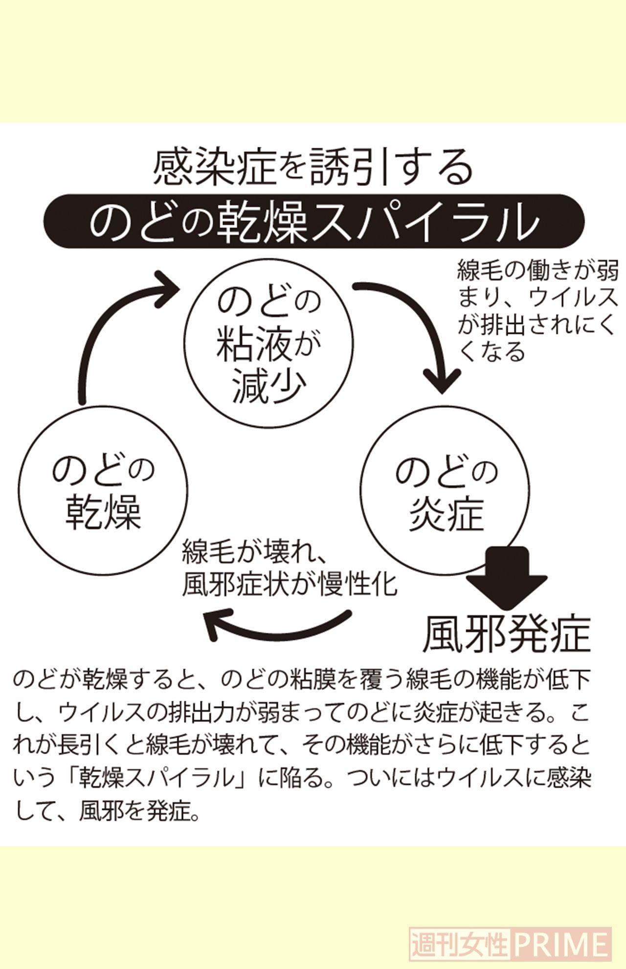 のどの乾燥スパイラル