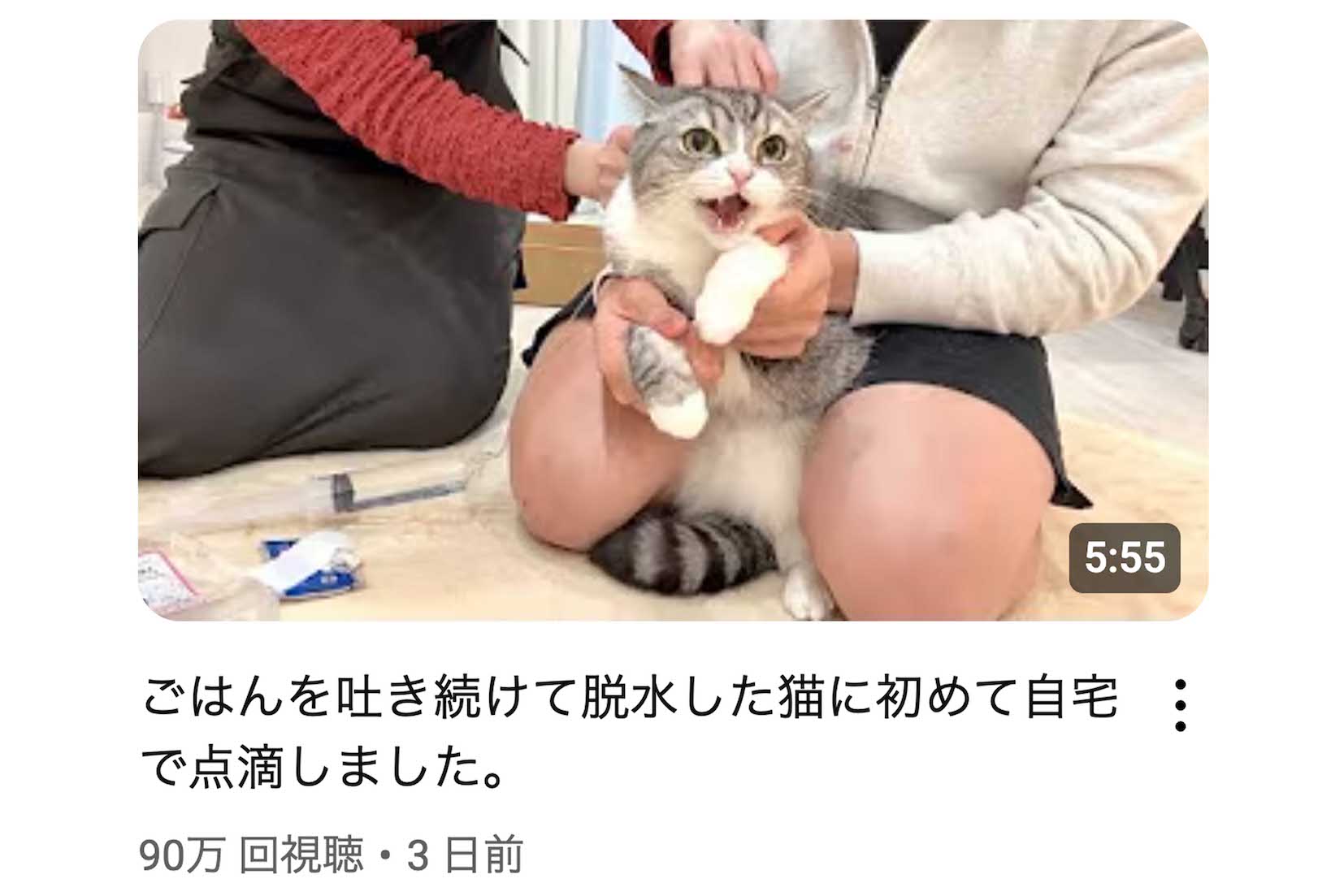 家で点滴を行う「もちまる」も撮影（YouTubeチャンネル『もちまる日記』より）