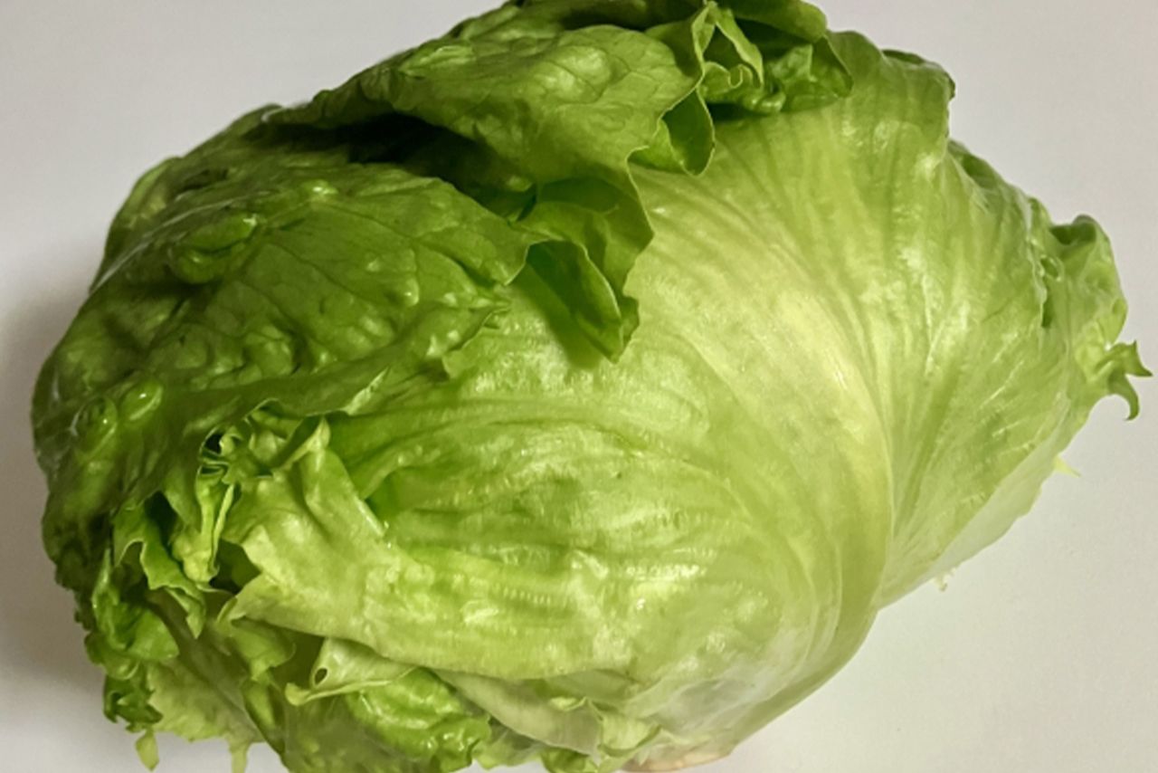 写真はイメージです