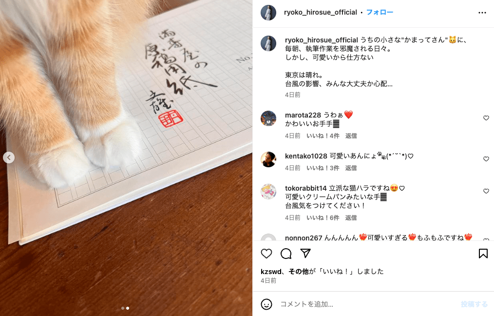 執筆作業を愛猫に邪魔される一コマ。使用する原稿用紙は老舗、満寿屋のもの（広末涼子インスタグラムより）