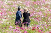 ホスピス医が教える、コロナ禍で見つめ直すべきこと「もしあと1年の余命なら」