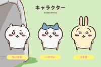 ちいかわ×ANAコラボに浮上した《なぜウサギが機長でハチワレが副機長?》の疑問、広報は「それぞれのお考…