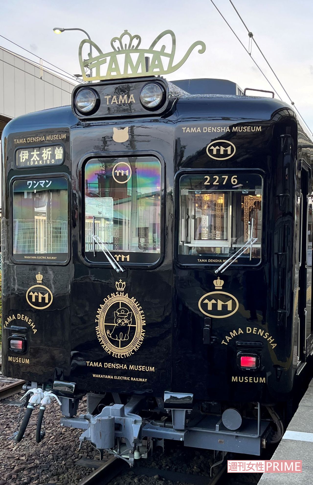 たま電車ミュージアム号　デザイン：水戸岡鋭治