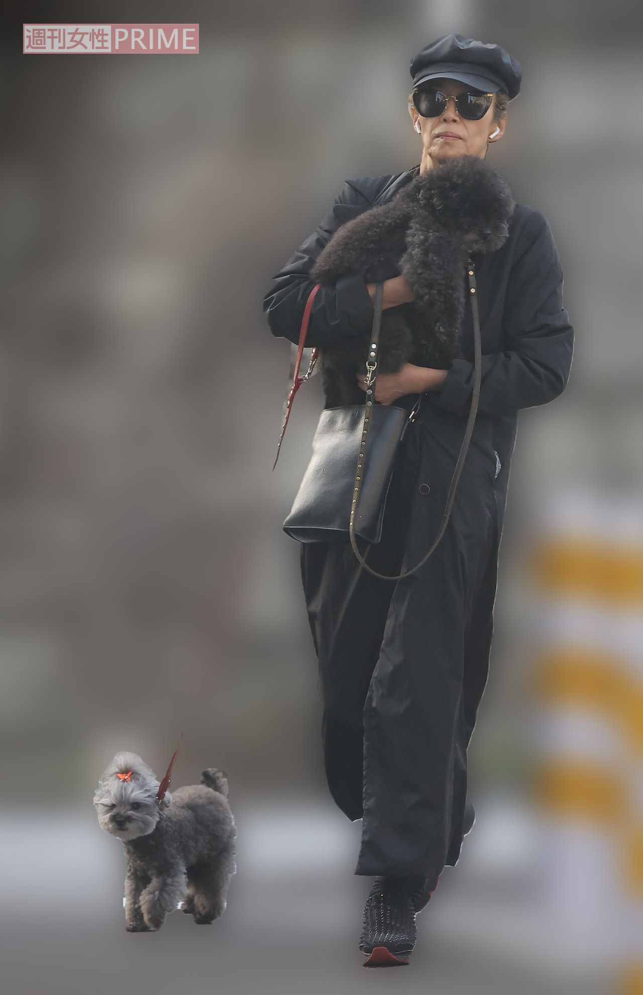 “全身ブラック”のコーディネートの萬田久子。抱えているトイプードルもさながらファッションアイテムのよう