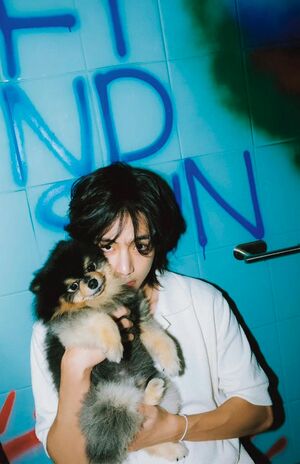 BTSのVが愛犬ヨンタンとそっくりな犬と共演に「Vなりの“反撃”では