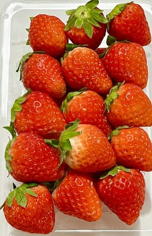 栃木県「いちご」※画像はイメージです