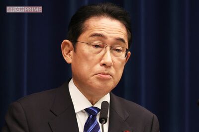 埼玉県虐待禁止条例を自民党県議団が撤回 「選挙に行かないとこうなる」SNSで高まる選挙熱で、岸田文雄首…