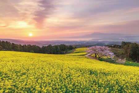 白木峰高原［長崎県］