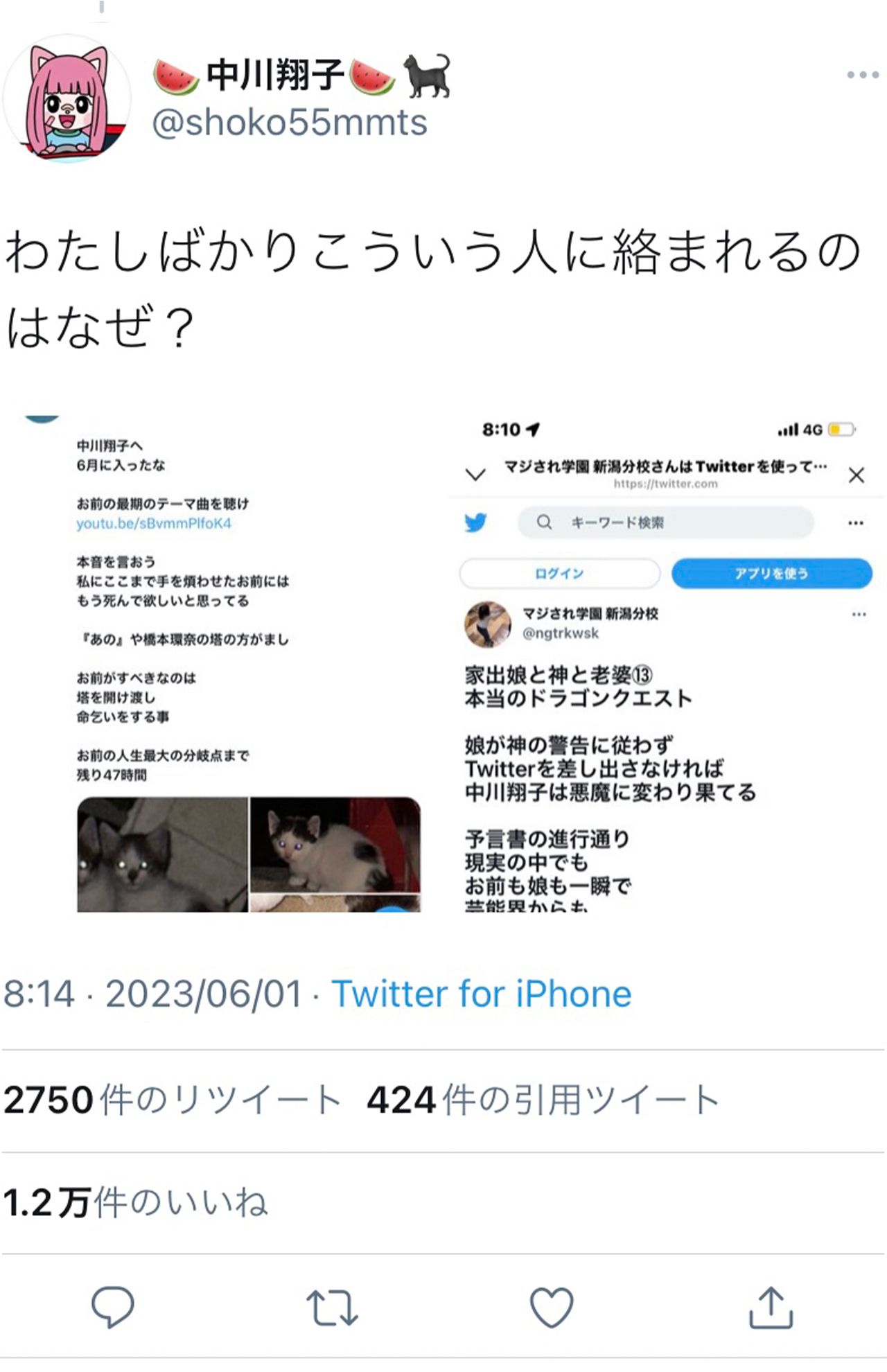 自身に届いた“殺害予告”ツイートを晒す中川翔子（公式Twitterより）