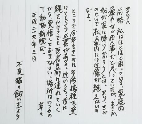 【長岡弘樹さんから・飼い猫まりへ／忠告の手紙】野良猫だったまりを公園で拾い、飼うようになってから、すっかりニャンコに夢中なんだとか。「手紙の小道具にもよく使わせてもらっているので、今回は彼女に手紙を書こうと思います」