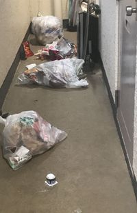 共用廊下に放置した生活ゴミをカラスに荒らされ、近隣に被害も（読者提供）