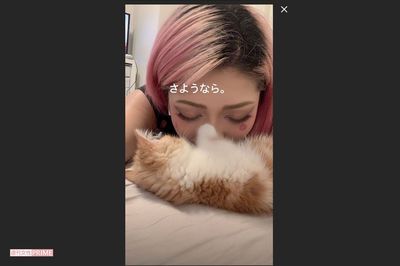 木村花さんが『テラスハウス』出演から亡くなるまで、何が彼女を追い詰めたのか