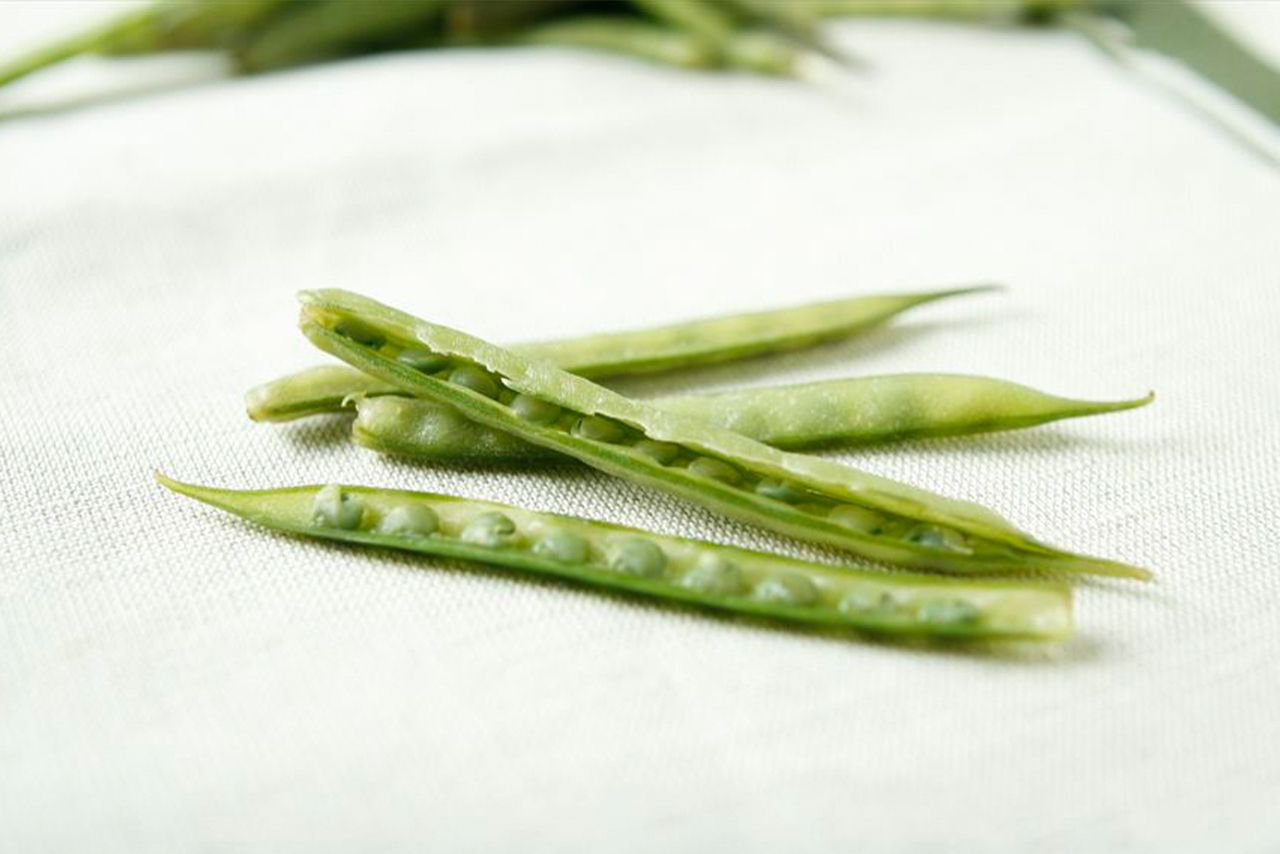 ※写真はイメージです