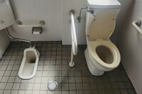 有吉弘行の発言で「和・洋トイレ論争」が勃発!小中学校では5Kのイメージで健康問題にまで関わることも、洋…