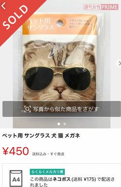 小さな眼鏡やサングラスにゴムバンドがついており、ペットの頭部に固定できる。愛犬家、愛猫家にはたまらないアイテムだ