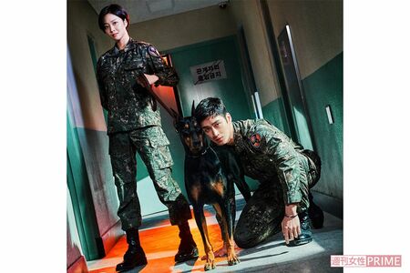 ドラマ『軍検事ドーベルマン』CS衛星劇場にて、10月26日（水）放送スタート。毎週水曜夜11時〜深夜1時30分ほか　※2話連続放送