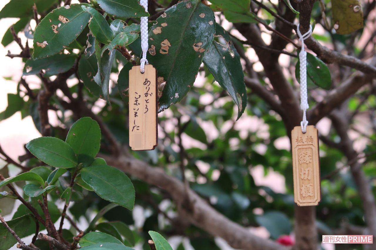 お守りは願いが叶ったら、境内の榊に「ありがとうございました」とお礼を書いて結びつける（※画像は一部モザイク加工しています）