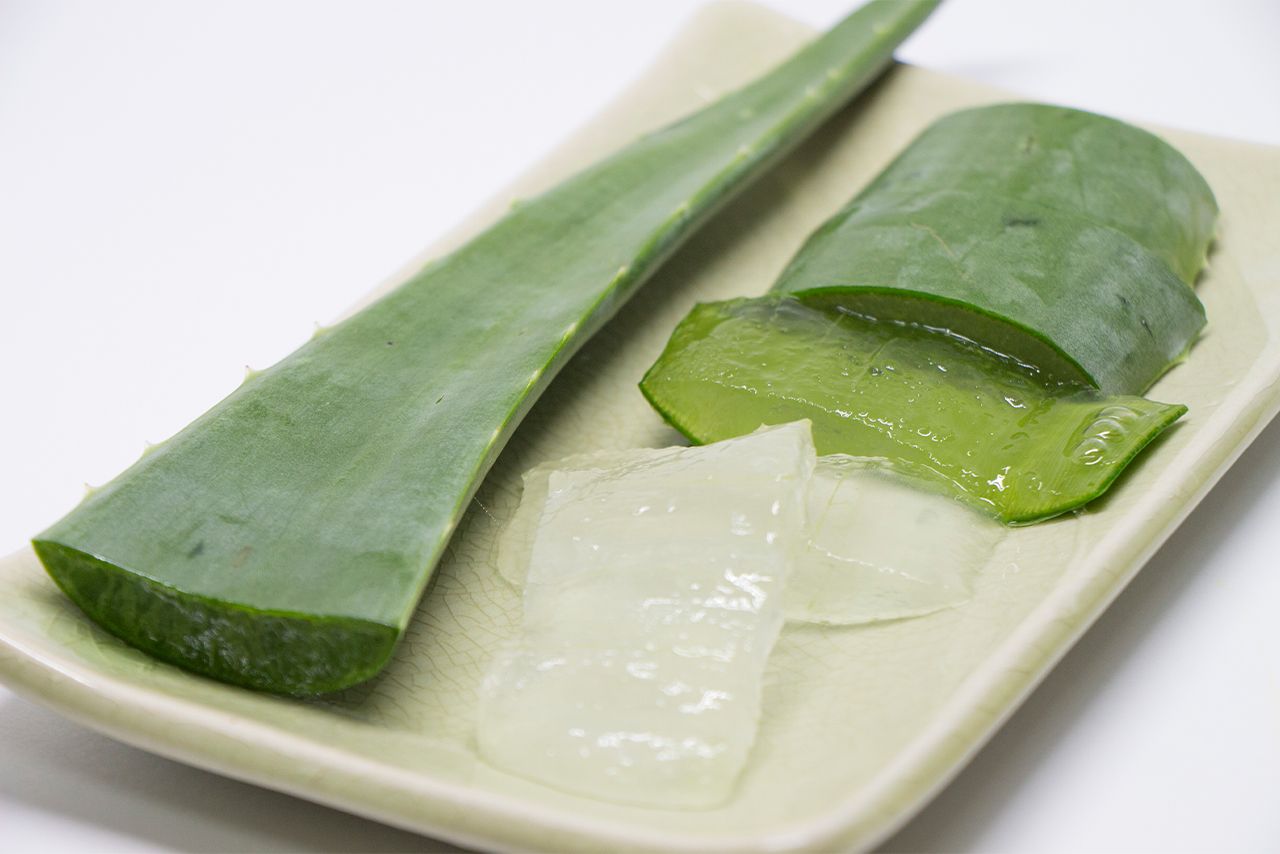 ※写真はイメージです