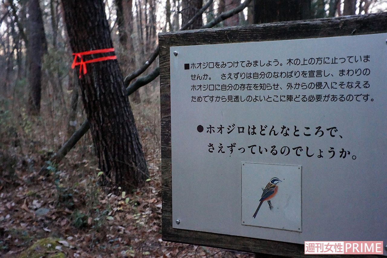 敷地内にあるバードサンクチュアリ。どんな野鳥が生息するか教えてくれる