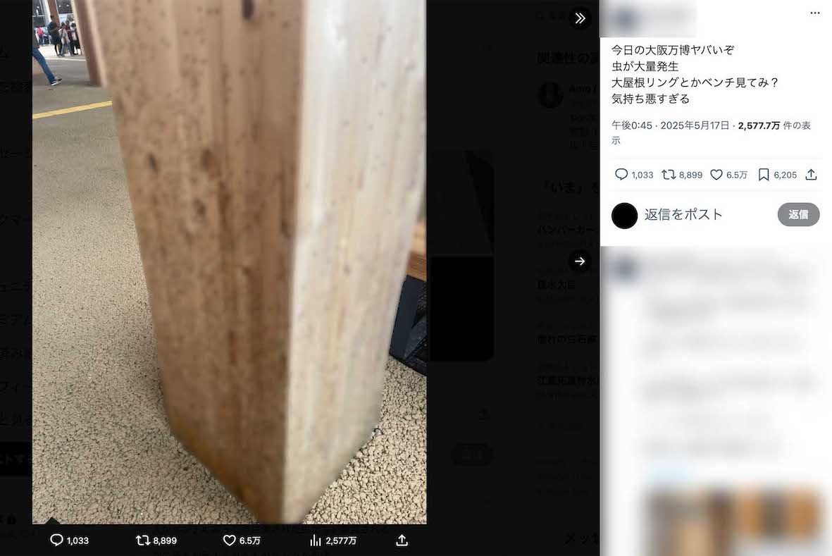 大屋根リングの木製の柱などに小さな虫が大量に発生している様子がアップされている（Xより、画像は一部編集部でモザイク加工）