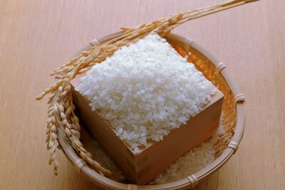 「平成の米騒動とは異なる」令和を襲った米不足のワケ、気になる今後の見通しは「パニック買いは控えて」