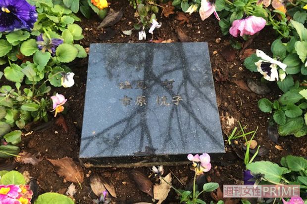 墓碑には市原さんが気に入っていたエノキの木陰が映っていた