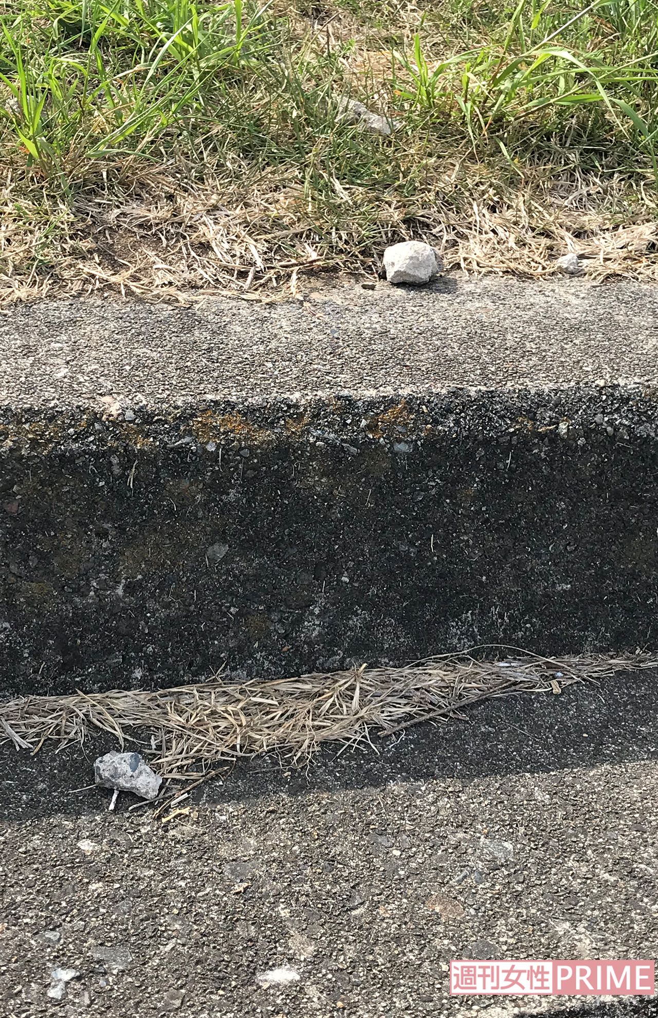 渡邉さんとAさんに投げつけられた小石がまだあちこちに散らばっていた（筆者撮影）