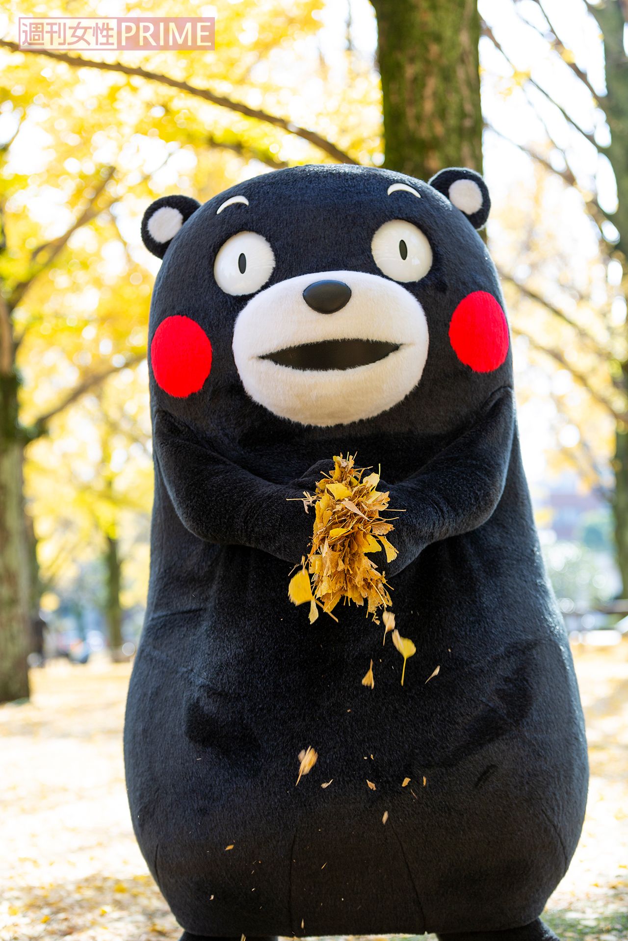 撮影／宮井正樹